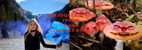 mix Вяземский