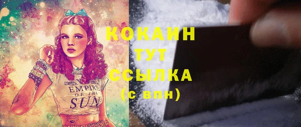 mix Вяземский