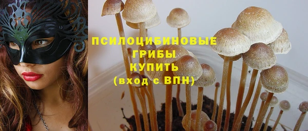 mix Вяземский