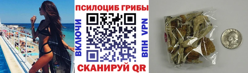 Псилоцибиновые грибы GOLDEN TEACHER  Лангепас 